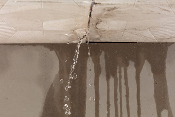 Professional Water Extraction technician working in East Hampton, NY